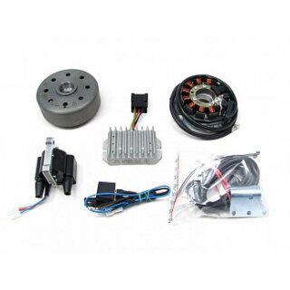 Lichtmaschine kontaktlose Vape Zündung für DKW RT 350 S mit 12V/150W