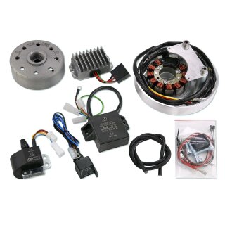 12V Zündung Lichtmaschine Horex Regina + SB35 und Victoria KR35 Columbus Motor