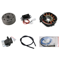 Lichtmaschine kontaktlose Vape Zündung 12 V100W...