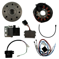 Lichtmaschine kontaktlose Vape Zündung 12V 100W DC...
