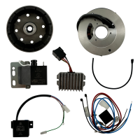 Lichtmaschine kontaktlose Vape Zündung 12V 100W DC...