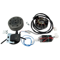 Lichtmaschine kontaktlose Vape Zündung 12V 100W DC...