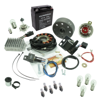 Vape 12V 100W Lichtmaschine Elektronik Zündung +...