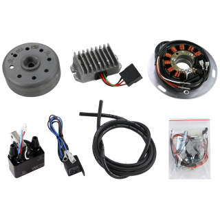 Lichtmaschine kontaktlose Vape Zündung für Adler M200/250 / MB200/250 12V/180W