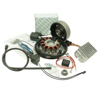 Lichtmaschine Vape Zündung 12V 100W DC für WSK 125
