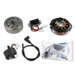 Lichtmaschine Vape Zündung 12V 180W DC für Yamaha DT1/2/3 RT1/2/3 DT250/360/400 TY250 YZA250