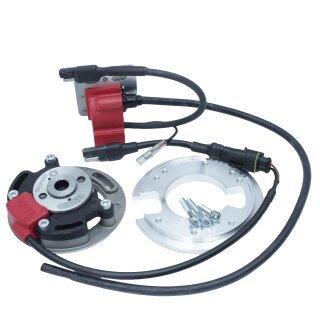 Selettra Zündung für Simson S51 S53 S83 S70 S50 KR51 Schwalbe SR50