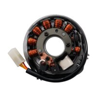 Grundplatte 12V Zündmeister Zündung für...