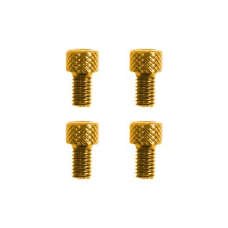 Eloxierte Schrauben gold M6 für Zuganker, Stehbolzen für Simson S51 S50 KR51 Schwalbe SR50 S53 Befestigung Zylinder