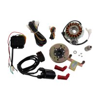 Zündung Lichtmaschine für Jawa 350 12V 150W