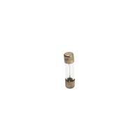 Original DDR Sicherung 16,3 250V 20mm lang