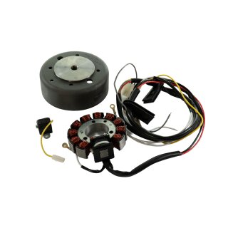 Elektronische Zündung für Jawa 350 TS