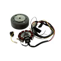 Elektronische Zündung für Jawa 350 TS