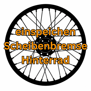 Speichenrad einspeichen + zentrieren Sonderfelge Hinterrad Scheibenbremse