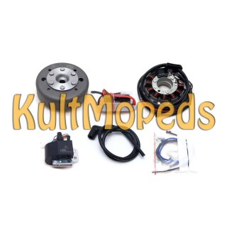 Lichtmaschine kontaktlose Vape Zündung für Suzuki PE 175/250 12V 100W DC