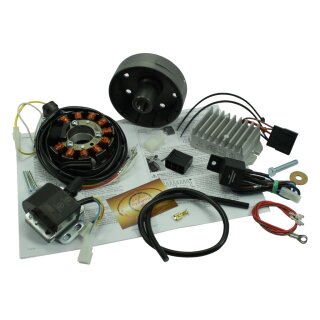 Lichtmagnetzündanlage Vape Zündung Lichtmaschine für MZ ES 175 250 0/1/2 ES300  ETS250 12V 150W