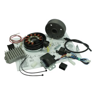 Vape Lichtmaschine 6V 100W Elektonik Zündung LiMa für MZ ES 175 250 0/1/2 ES300  ETS250