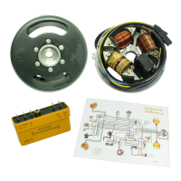12V 42W Elektronikzündung Grundplatte für Simson S51 S70 KR51 Schwalbe SR50 Lichtmaschine