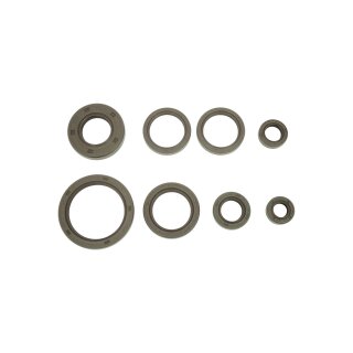 8 Wellendichtringe Simmerringe für Simson AWO 425 Sport braun Motor Getriebe