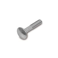 Schlossschraube untere Motorlager S51, S50, S53, S70, S83...