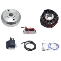Lichtmaschine 12V 180W DC Kontaktlose Vape Zündung...