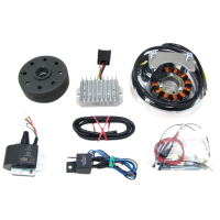 Lichtmaschine kontaktlose Vape Zündung 12V 150W DC...