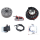 Lichtmaschine, kontaktlose Vape Zündung für Kreidler Florett 80 K80 LK600 + Mustang LK800 12V 100W DC Neu links drehend